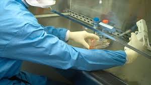 Curevac is a leader & pioneer in developing medicines based on mrna. German Clinical Trial For Covid 19 Vaccine Approved