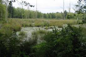 Glenn valley apartments is an apartment located in calhoun county , the 49015 zip code, and the harper creek community schools attendance zone. Guided Tour Of West Creek Wetlands Hits The Trail Oct 6 Langley Advance Times