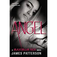 Maximum Ride Angel, Book 7, (Hardcover)