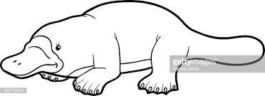 We have collected 36+ platypus coloring page images of various designs for you to color. Coloring Book For Children Platypus Clipart Image