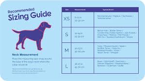 Finding the perfect dog breed for you and your family can be a tough task. Halti Comfort Collar Company Of Animals Uk