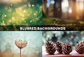 Choose from a curated selection of the perfect free zoom virtual backgrounds. Free Blur Background Photoshop Action In Photoshop Online