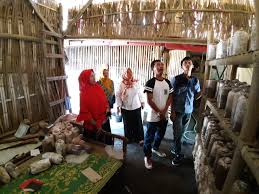 Gunakan nama toko yang mudah diingat. Taman Nasional Meru Betiri