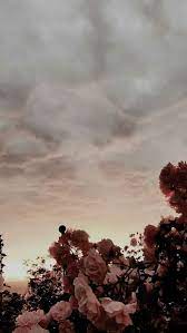 Check spelling or type a new query. Sunset Love Quotes Pinterest Wallpaper Cantik Wallpaper Yang Indah Latar Belakang Wallpaper
