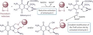 Image result for Mitomycin