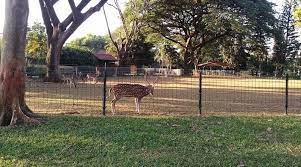 3, sepanjang jaya, rawalumbu, kota bks, jawa barat 17114. Https Travel Okezone Com Read 2015 08 31 406 1205827 Ternyata Di Bekasi Ada Rusa
