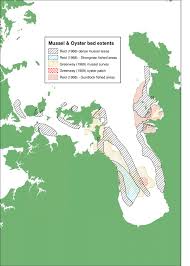 Historical Green Lipped Mussel Distribution In The Inner