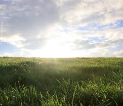 Voycontigo Der Experte Fur Barfuss Und Zehenschuhe In Freiburg Und Online Barfussschuhe Zehen Schuhe Zehenschuhe