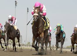 Melissa Montagnole porno com cenas inéditas