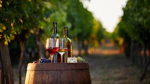 What Is White Wine Vinegar White Wine Vs Red Wine Vinegar And How To Use White Wine Vinegar 2020 Masterclass