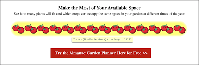 Should you remove tomato plant suckers? Growing Tomatoes Planting Growing And Harvesting Tomatoes The Old Farmer S Almanac