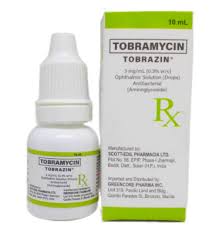 Image result for Tobramycin