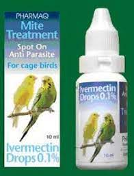 Pin On Parakeets