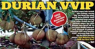 Agar tidak terjadi kesalahan dalam mengelola sistem penggajian di perusahaan, ada beberapa hal tentang gaji pokok dan umr yang harus anda ketahui. Berbuah Seawal 3 Tahun Boleh Tanam Dalam Pasu Asfa50 Hasil Kacukan Durian Tembaga Musang King Duri Hitam Udang Merah Kartel Dakwah