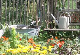 Eine woche hat sich der samen zeit gelassen, um erste zarte halme auszutreiben. Ein Paar Einfache Massnahmen Um Seinen Garten Zu Geniessen Und Gleichzeitig Die Umwelt Zu Schonen Staat Freiburg