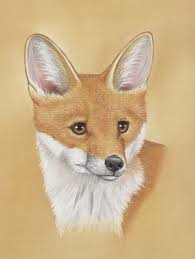 Draw These Animals Using Pastel Pencils Animal Drawings Epic Drawings Drawings