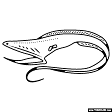 Educational abc's on fishing coloring book page 1. Gulper Eel Coloring Page