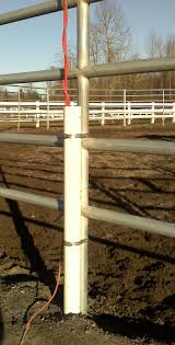 The curious, busy mouths of. 10 Diy Horse Barn And Tack Room Organization Ideas Savvy Horsewoman