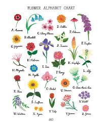 The symbolic language of flowers has been recognized for centuries in many countries throughout europe and for example, three types of flowers that come in a very dark/black color include: Flower Alphabet Chart Art Print Etsy Flower Alphabet Flower Drawing Flower Names