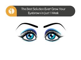 Great for dyi creams, lotions, scalp treatments, and lip balms 7 $6 The Best Solution Ever Grow Your Eyebrows In Just 1 Week