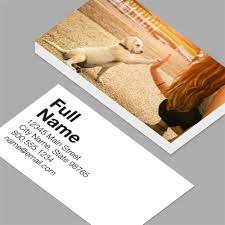 Dog Training Business Cards Labrador Welpe Und Junge Frau Geben Sich Ein High Five Standard Horizontal Business Human Food For Dogs Can Dogs Eat Dog Hacks