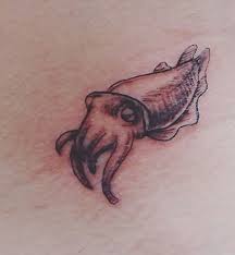 Cuttlefish Tattoo. | Ocean sleeve tattoos, Tattoos, Sleeve tattoos