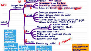 Home nota tingkatan 2 nota padat sains tingkatan 2 kssm. Process Of Absorption And Transportation Of Digested Food And Defecation