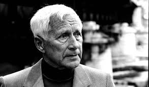 Entrevista con el escritor alem&aacute;n Ernst J&uuml;nger: La memoria de un siglo |  Babelia | EL PA&Iacute;S