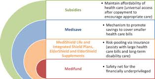 In 2016 the national kidney foundation of malaysia launches the nkf peritoneal dialysis financial assistance programme to provide financial assistance to poor malaysians with kidney failure to have access to peritoneal. Dialysis Care And Dialysis Funding In Asia American Journal Of Kidney Diseases
