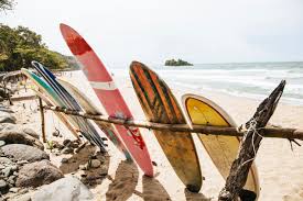 Image result for Surfing