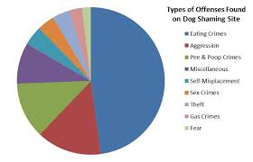 I Love Charts Dogshaming I Put Together A Pie Chart