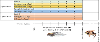Frontiers | Sex Reversal and Performance in Fitness-Related Traits During  Early Life in Agile Frogs