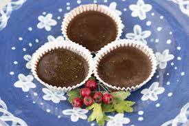 Weissdorn Schokolade Hawthorn Http Www Rosmarinundringelblume Com Artikel Weissdorn Weissdorn Dornen Rezepte