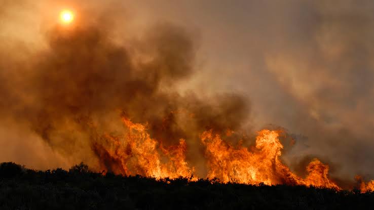 Heavy forest fire smoke