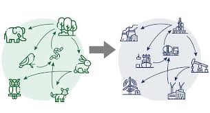 Check spelling or type a new query. Control Engineering How Nature S Characteristics Can Help Build Sustainable Industrial Networks