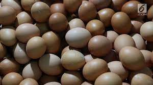 Ukuran telur ayam kampung juga lebih kecil dibandingkan dengan telur ayam yang di jual di pasaran. Berapa Lama Sebenarnya Telur Bisa Disimpan Sebelum Dimasak Lifestyle Liputan6 Com
