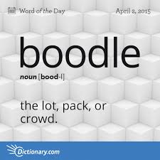 Boodle Word Of The Day Dictionary Com Words Dictionary Words Word Of The Day