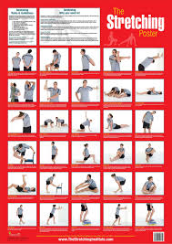 The Stretching Poster Various Key Stretches For The Entire Body For A Full Body Stretch Stretching Post Workout Stretches Full Body Stretch Body Stretches