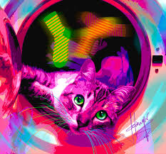 Check spelling or type a new query. Popcat