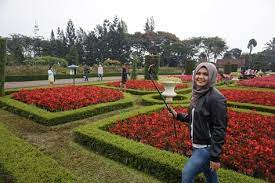 Tts taman bunga nusantara level 27. Grantnsaipan Taman Bunga Nusantara Level 27