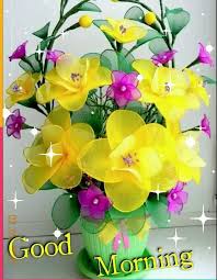 Kal Sunday Hai Funny Sunday Special Whatsapp Gif Good Morning Video Good Morning Flowers Good Morning Beautiful Flowers Good Morning Cards