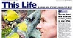 Are fish-keepers the happiest pet owners?