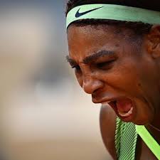 We did not find results for: De Serena A Delbonis Las Mejores Fotos Clarin Com
