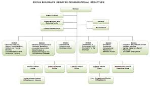 Social Insurance Services Organizational Structure