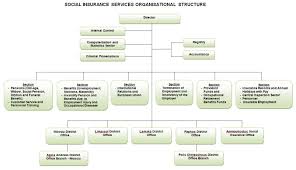 social insurance services organizational structure