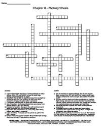 Stacked like coins atp 9. Ch 8 Photosynthesis Crossword Wordsearch By Dustinlee14 Biology
