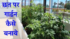 Umid medical umid medical card download kaise kare umid medical card kaise banaye उमीद रेलवे मेडिकल कार्ड. à¤˜à¤° à¤• à¤›à¤¤ à¤ªà¤° à¤— à¤° à¤¡à¤¨ à¤• à¤¸ à¤¬à¤¨ à¤ How To Make Terrace Garden In Hindi Chhat Par Garden Kaise Banaye Youtube