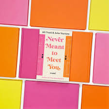 Never Meant to Meet You by Alli Frank & Asha Youmans