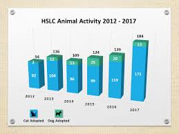 Humane Society Of Loudoun County Chart 1 Animal Activity