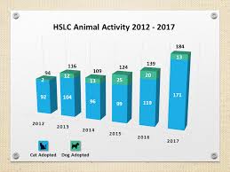 humane society of loudoun county chart 1 animal activity